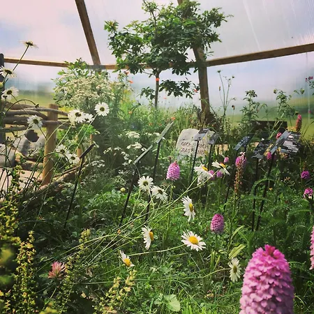 Burren Nature Sanctuary Διαμέρισμα